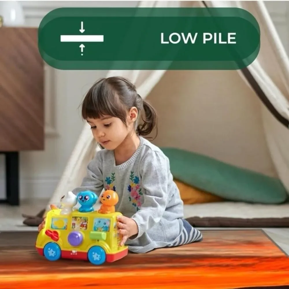New Low Pile Rugs for Indoor - 24